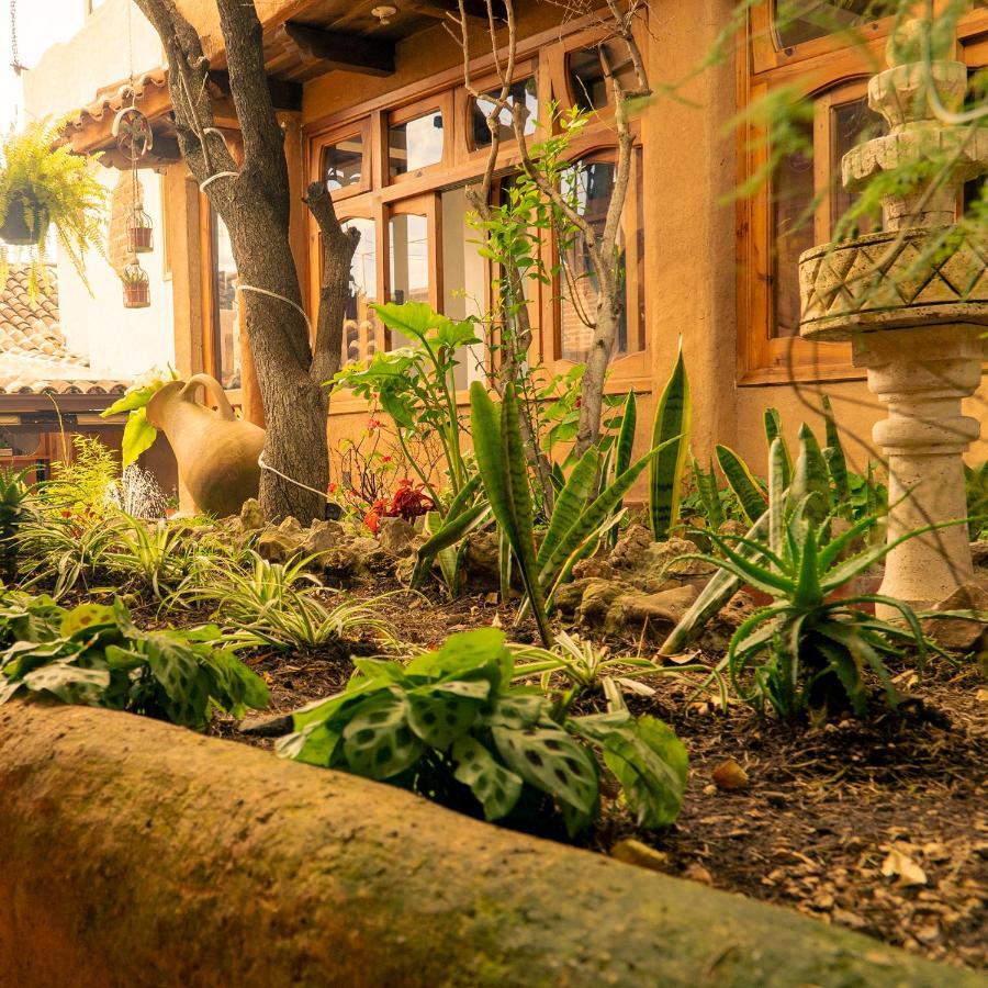 Hospedaje Boutique Paz Creativa San Cristóbal de Las Casas Εξωτερικό φωτογραφία